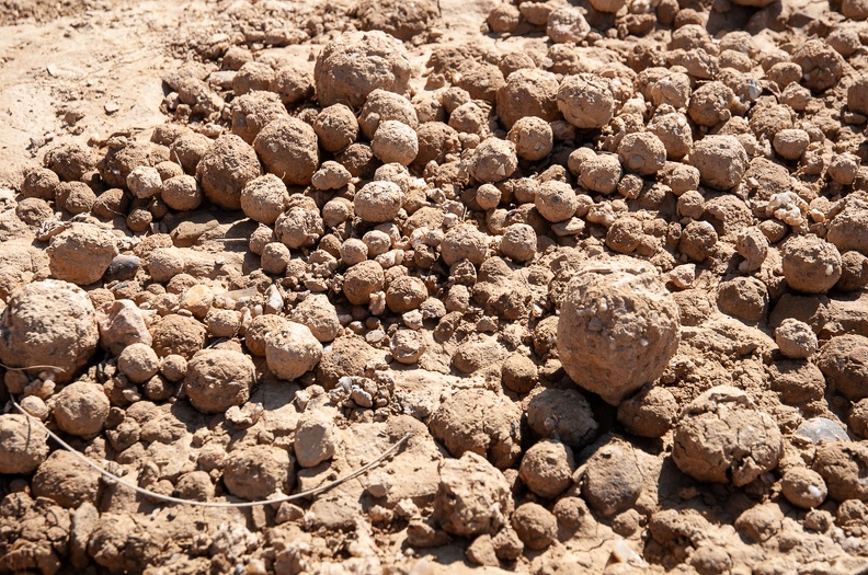 Boules formées après une grosse averse