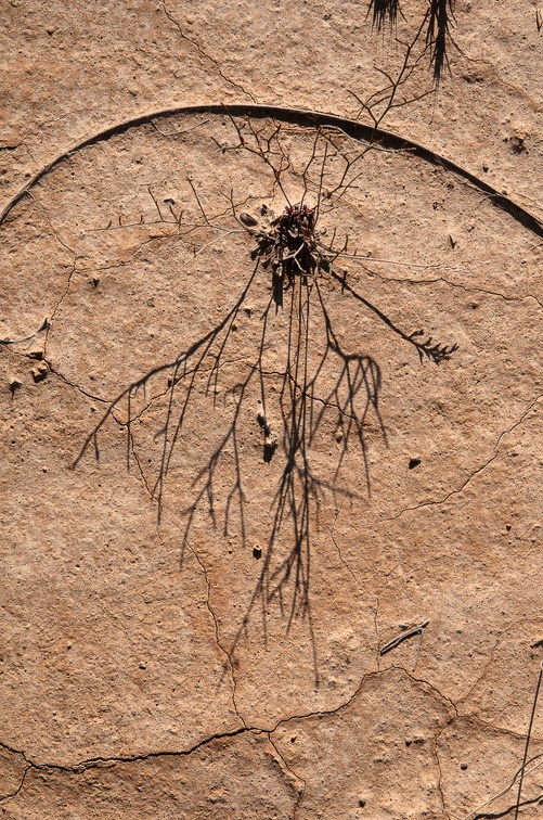Bardenas-25.jpg